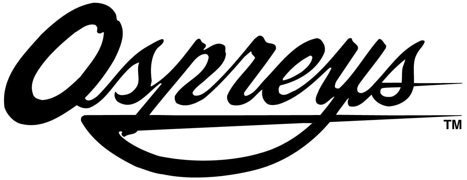 UNF Ospreys 0-1998 Wordmark Logo iron on transfers for T-shirts